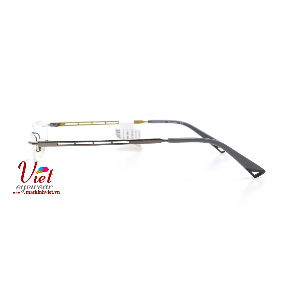 Gọng kính Charmant CH10523 BR