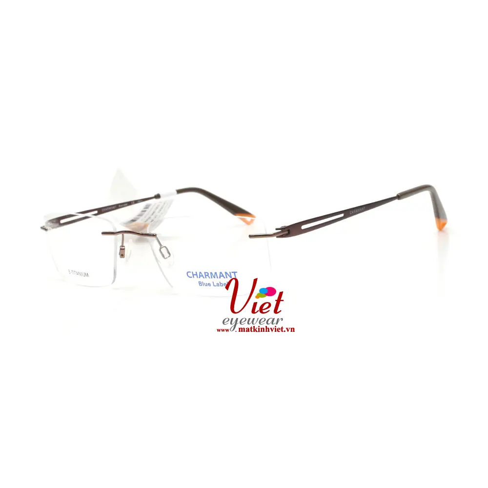 Gọng Kính Charmant CH10567 BR