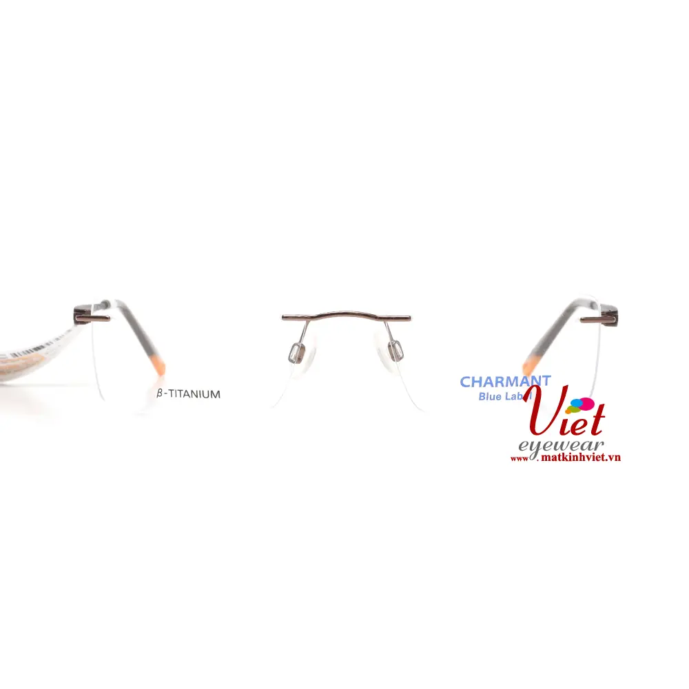 Gọng kính Charmant CH10567 BR
