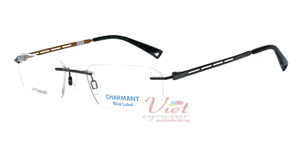Gọng Kính Charmant CH10542 DG