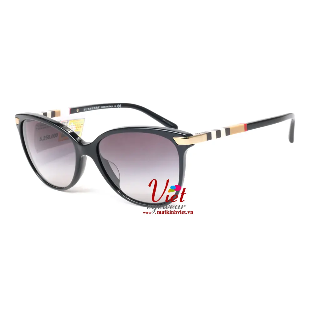 Kính Mát Burberry B4216F 3001/8G