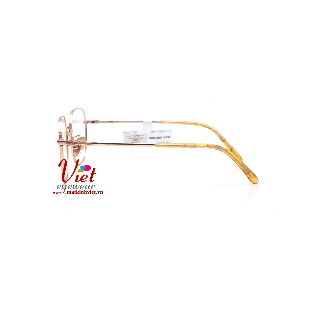 Gọng kính G.M Surne G8605 C2