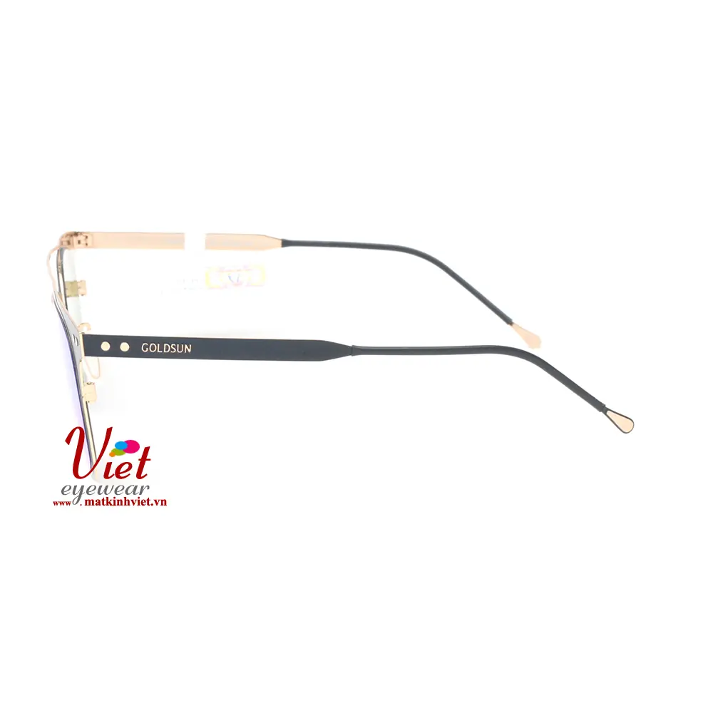 Kính mát Goldsun VNGS217017 G5