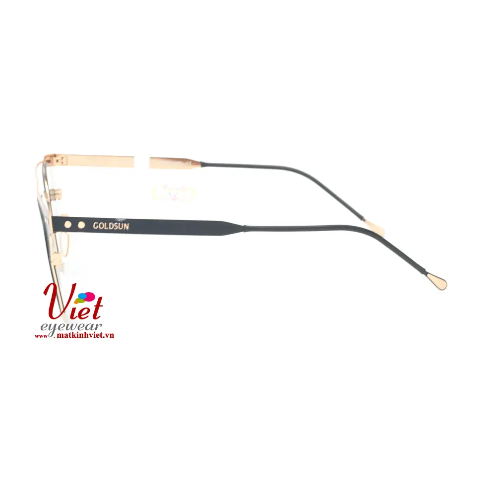 Kính mát Goldsun VNGS217017 G1