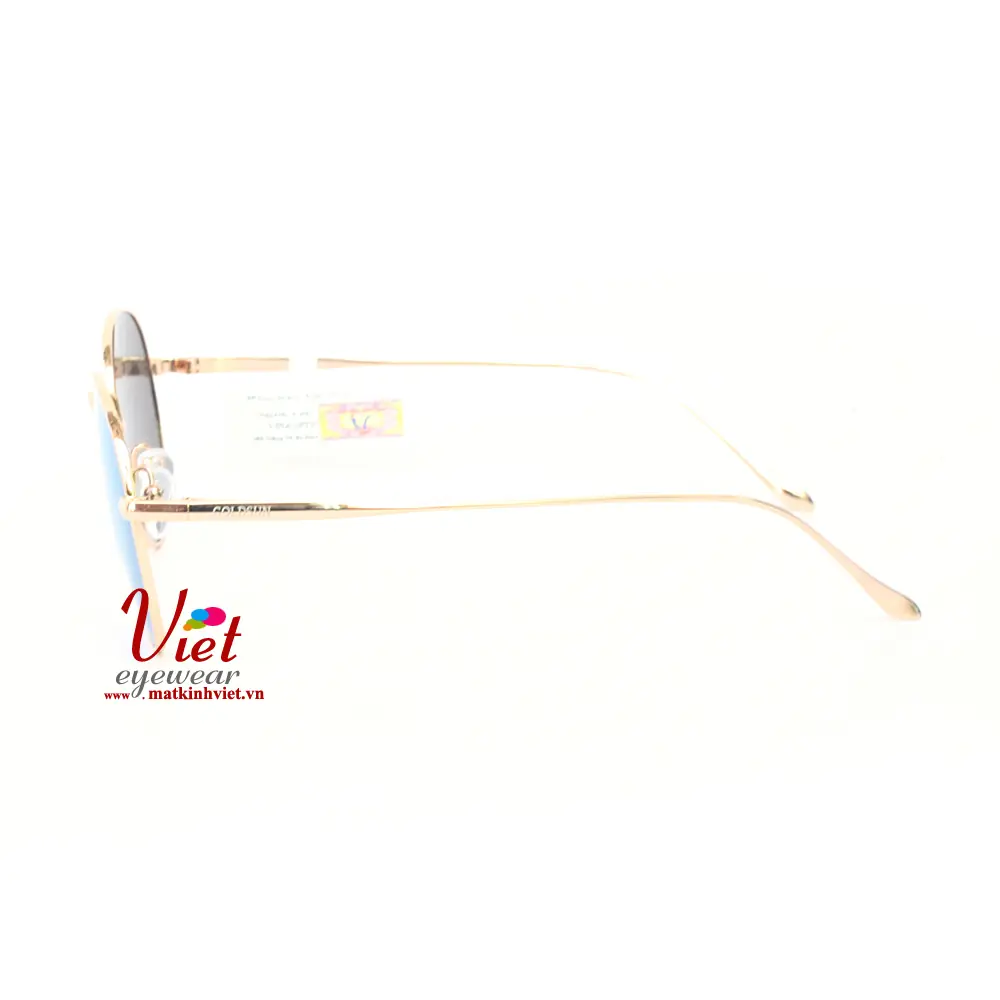 Kính mát Goldsun VNGS217014 G5