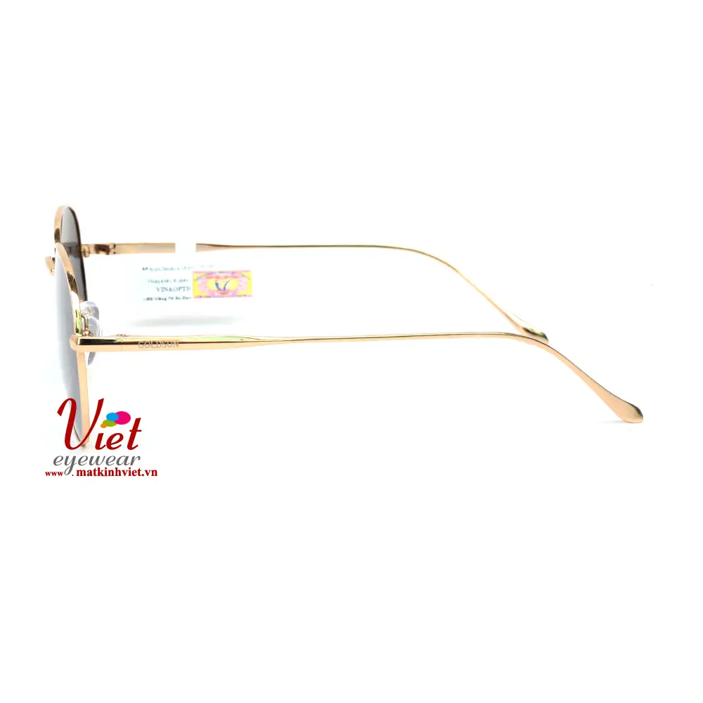 Kính mát Goldsun VNGS217014 G2
