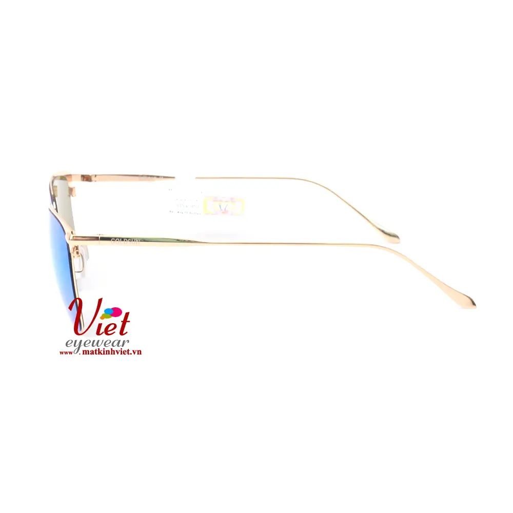 Kính mát Goldsun VNGS217013 D5