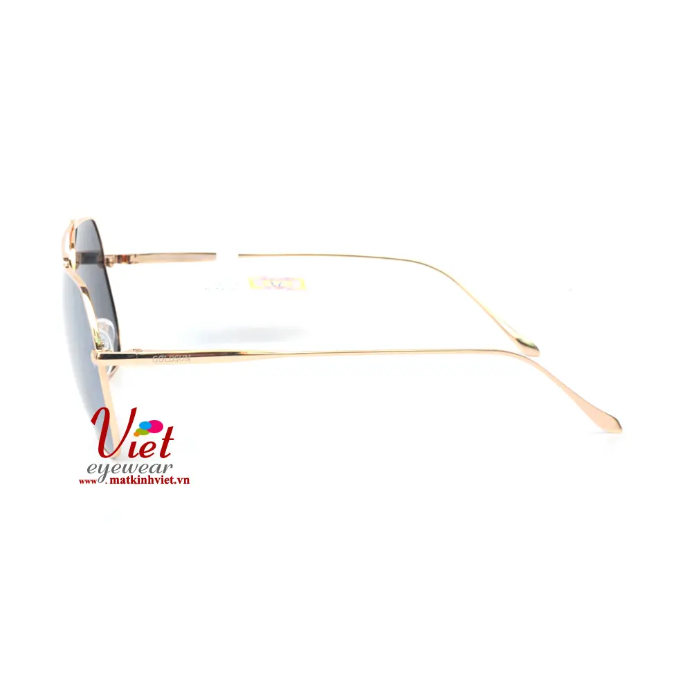 Kính mát Goldsun VNGS217003 G1