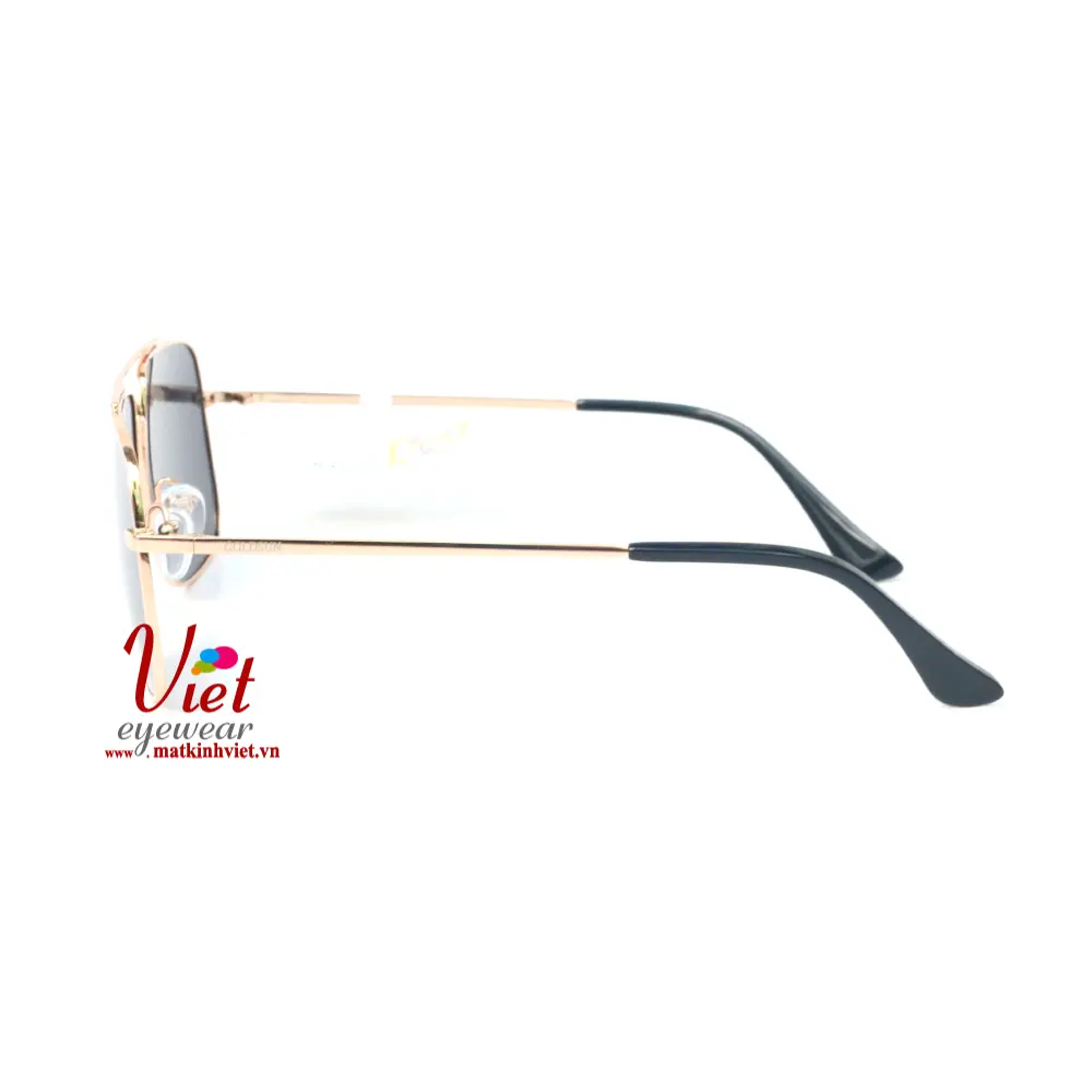 Kính mát Goldsun VNGS217001 G1