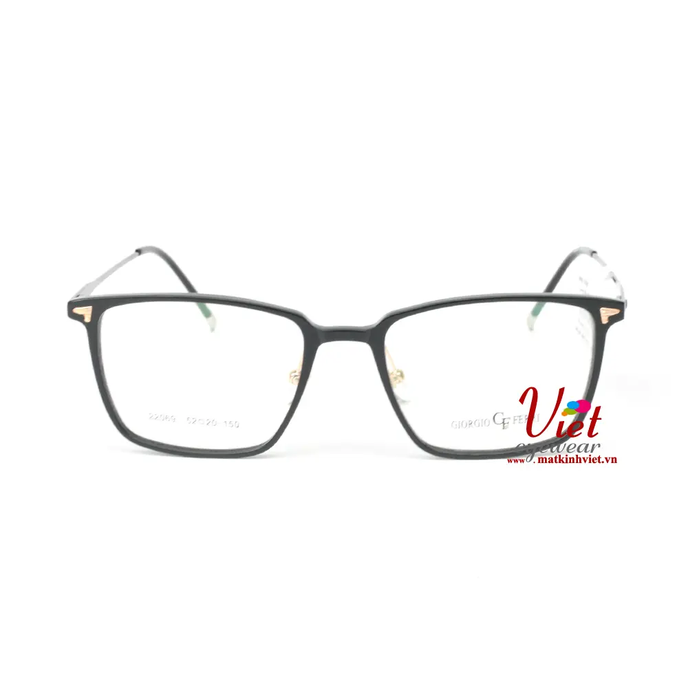 Gọng kính GiorgioFerri GF22069 C1