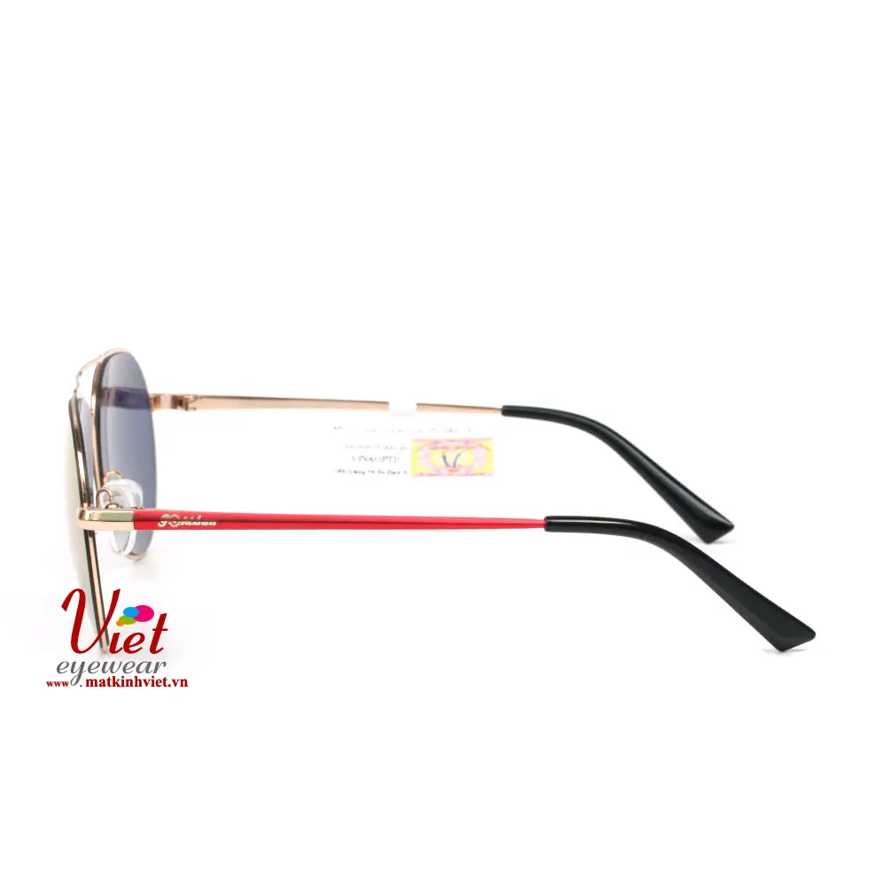 Kính mát Goldsun Kid VNGSK217503 B1