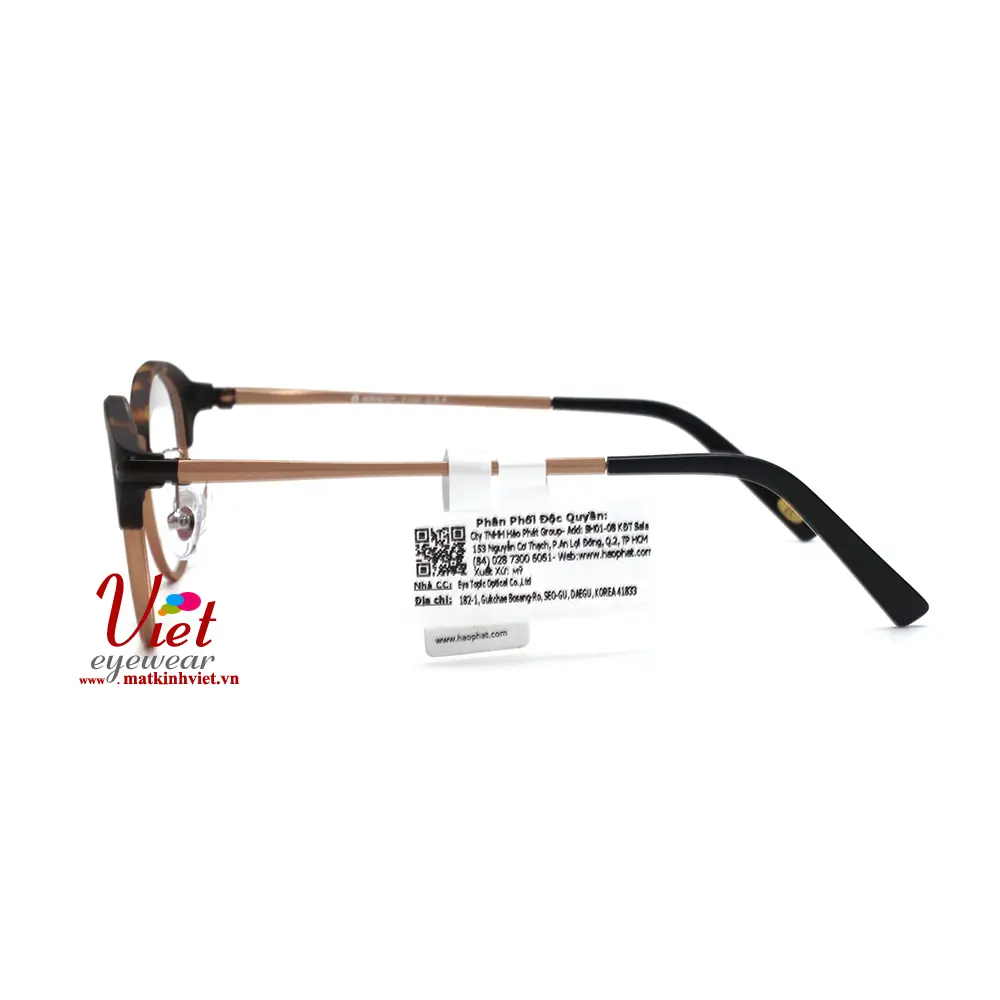 Gọng kính HANGTEN HT80119 C1