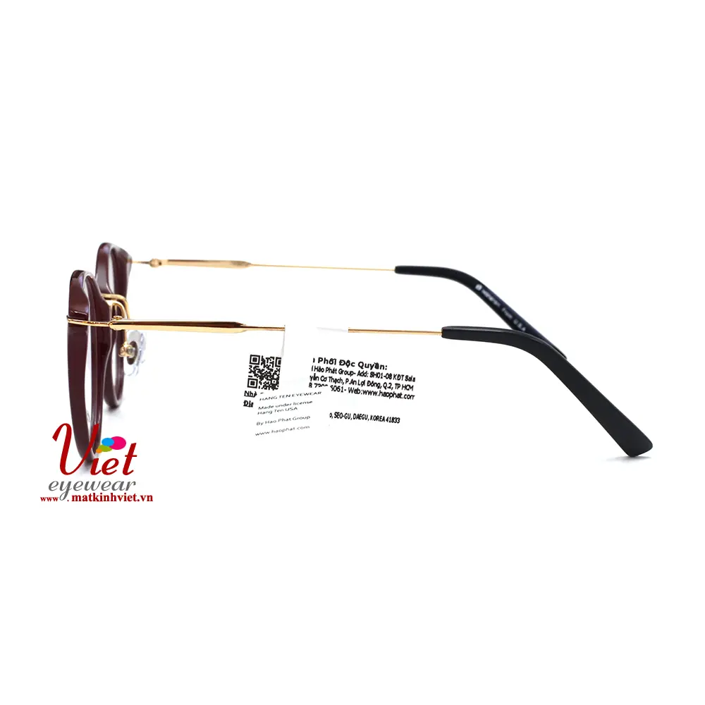 Gọng kính HANGTEN HT80103 C1