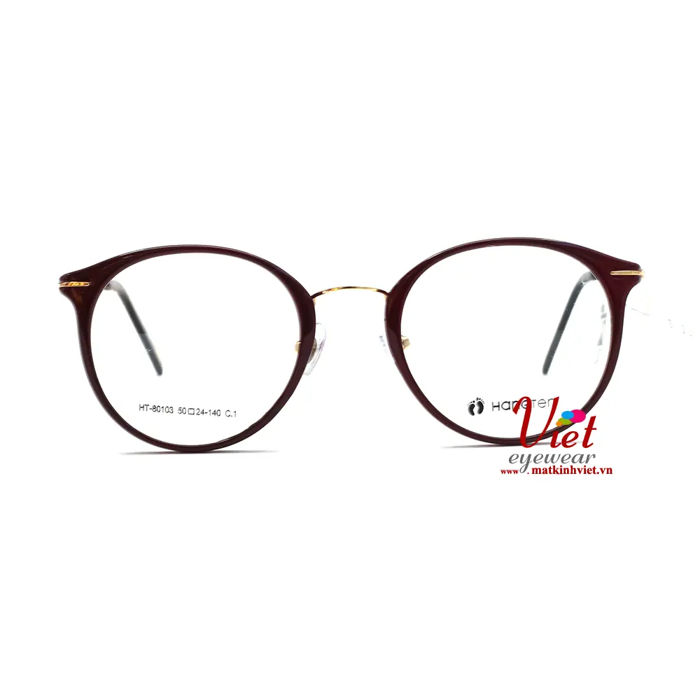 Gọng kính HANGTEN HT80103 C1