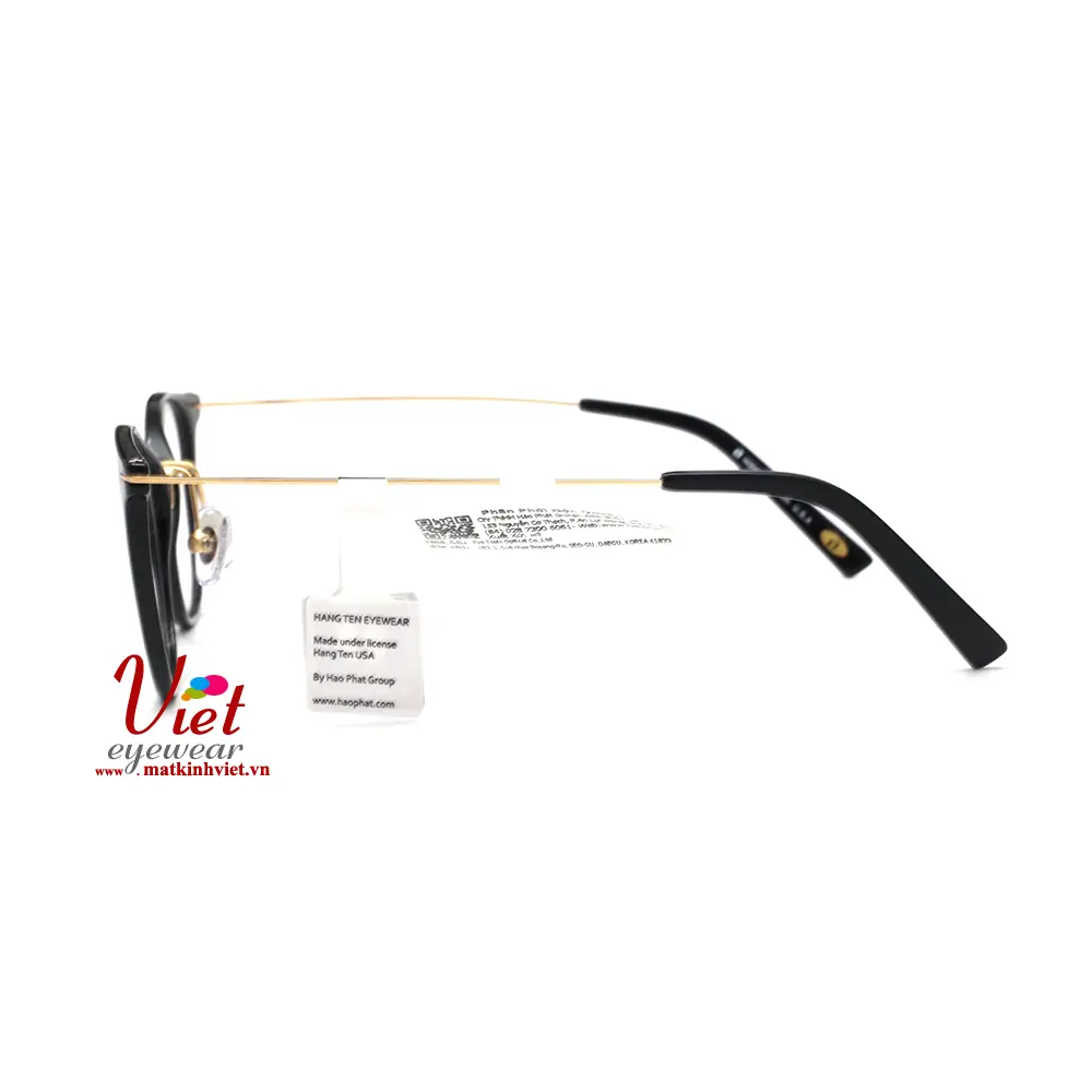 Gọng kính HANGTEN HT80101 C2