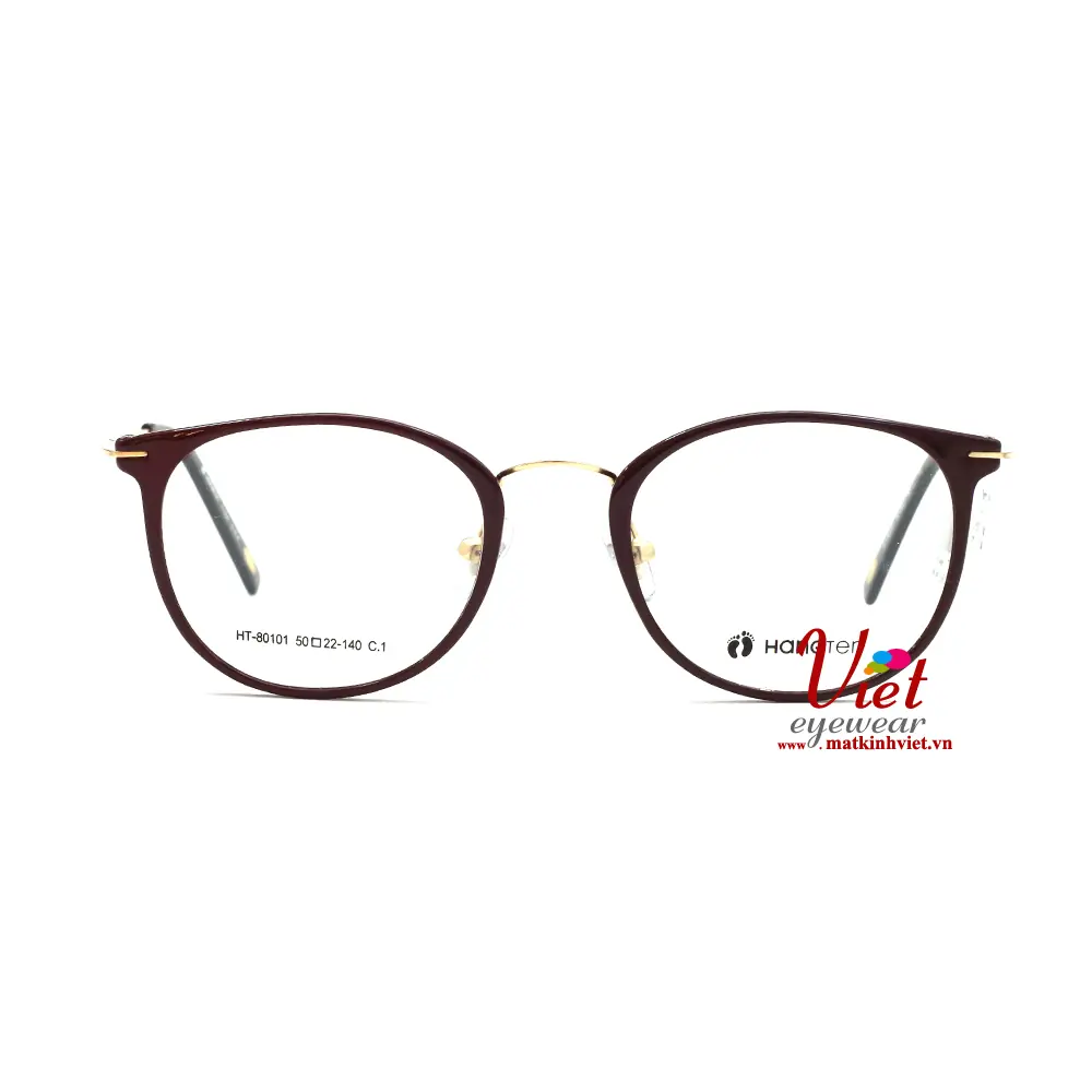 Gọng kính HANGTEN HT80101 C1