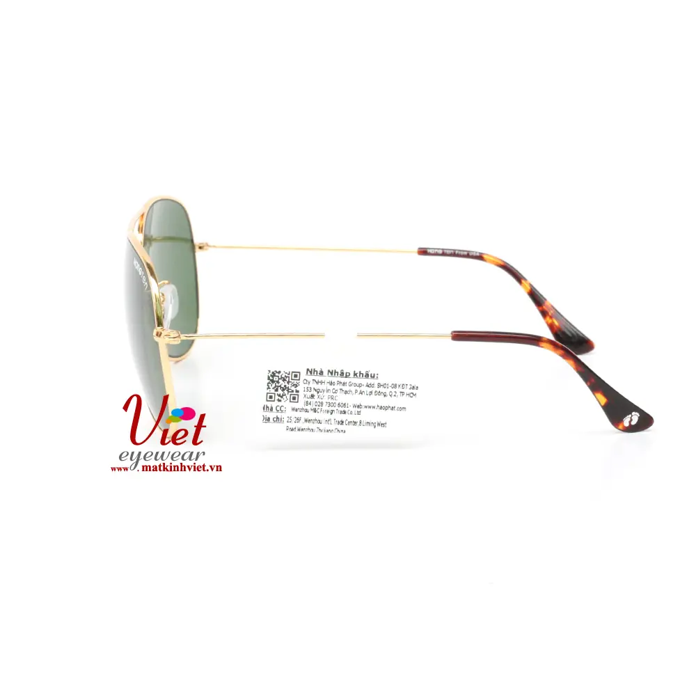 Kính mát HANGTEN HT80132 C1