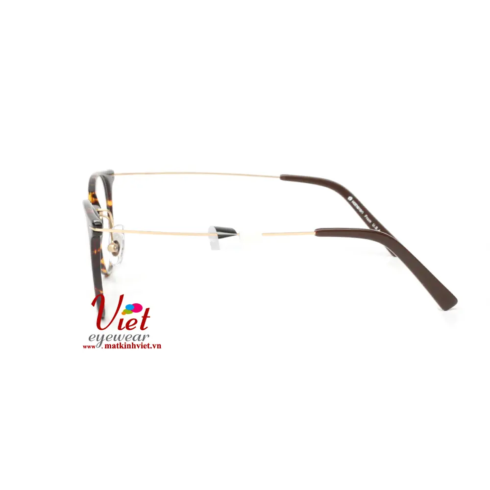 Gọng kính HANGTEN HT80101 C6