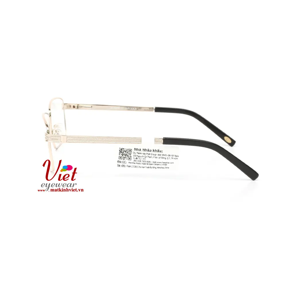 Gọng kính HANGTEN HT60219 C1