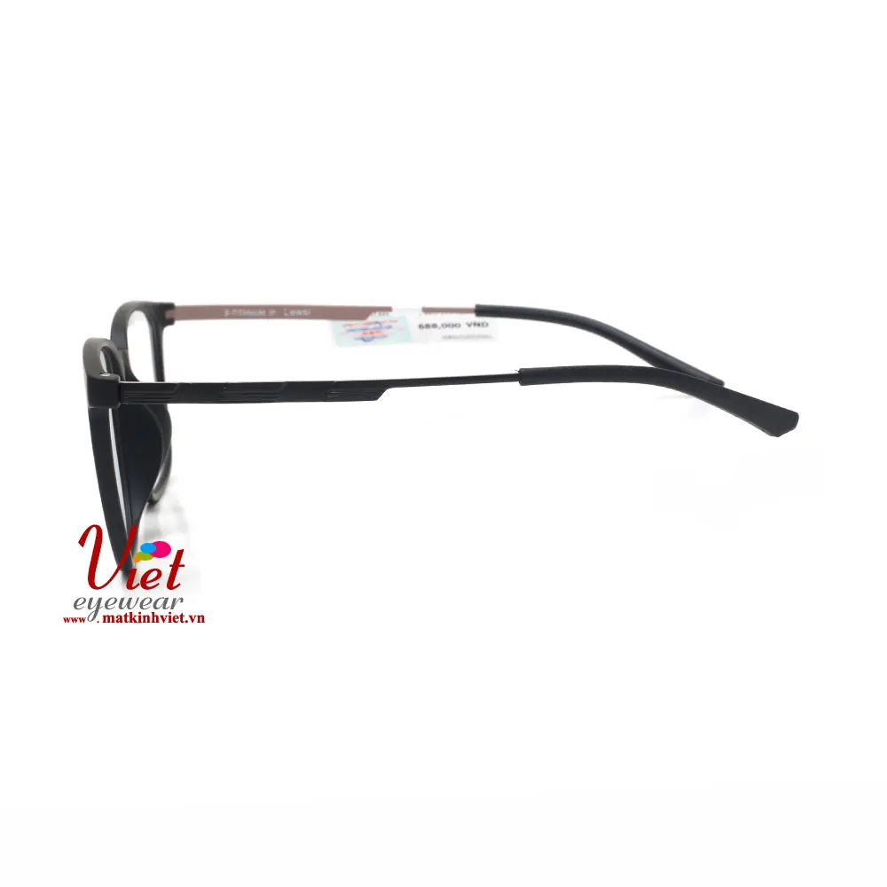 Gọng kính LEWSI LW1001 C2