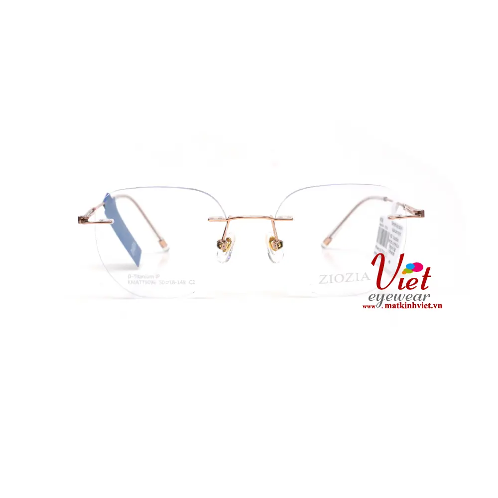Gọng kính ZIOZIA KMATT9096 C2