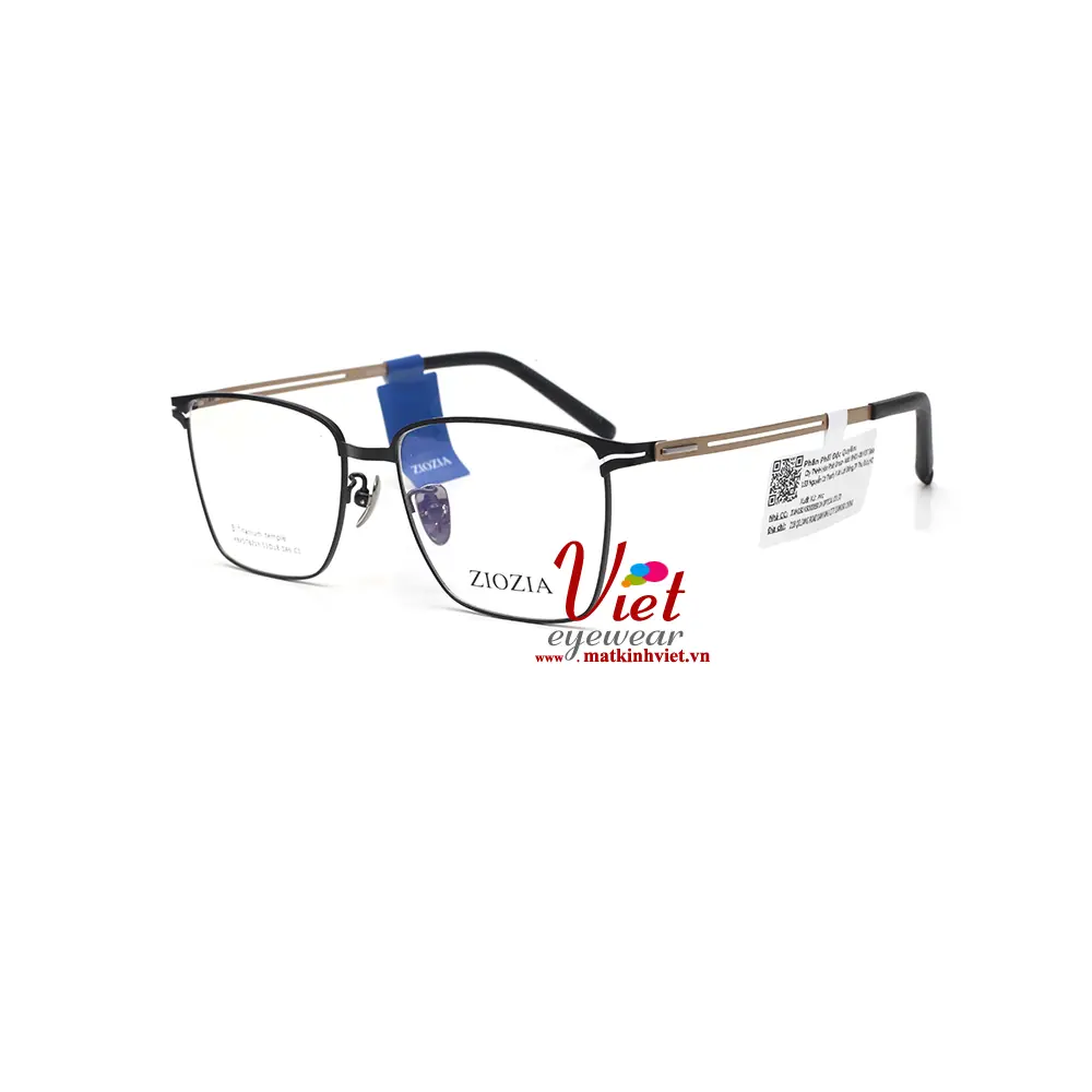 Gọng Kính ZIOZIA KBXSIT6213 C1