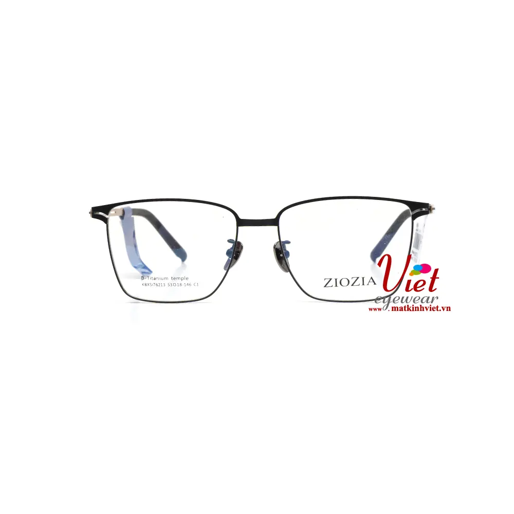 Gọng kính ZIOZIA KBXSIT6213 C1