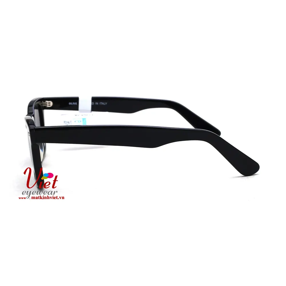 Kính mát Olive 81131 BLK