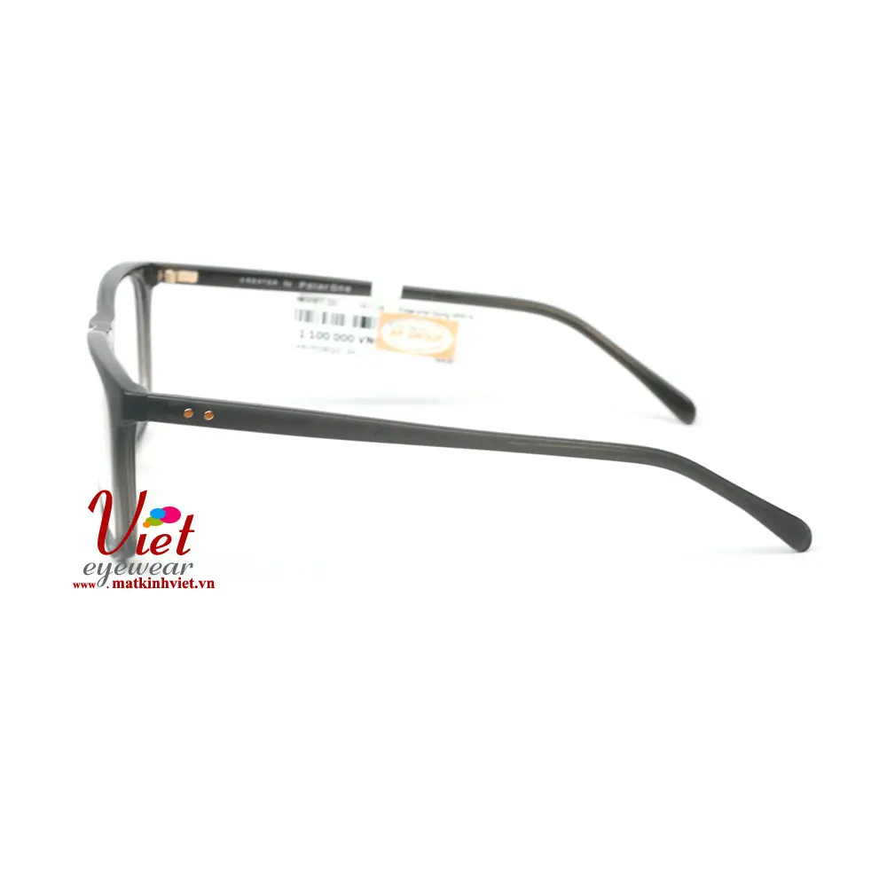 Gọng kính Polarone PO03023 C1