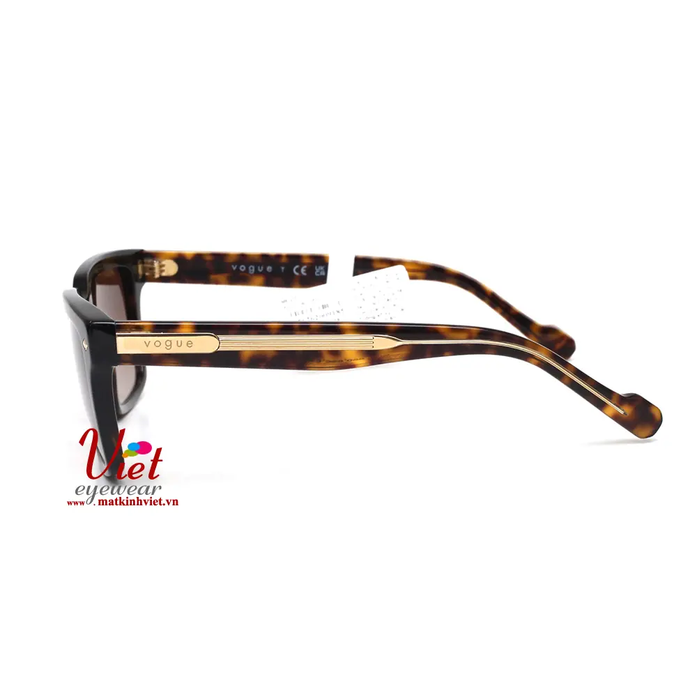 Kính mát Vogue VO5573S W65613