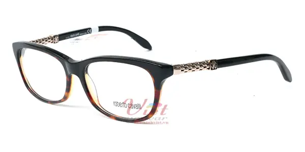 Gọng Kính Roberto Cavalli RC706 005