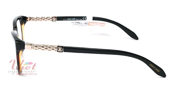 Gọng kính Roberto Cavalli RC706 005