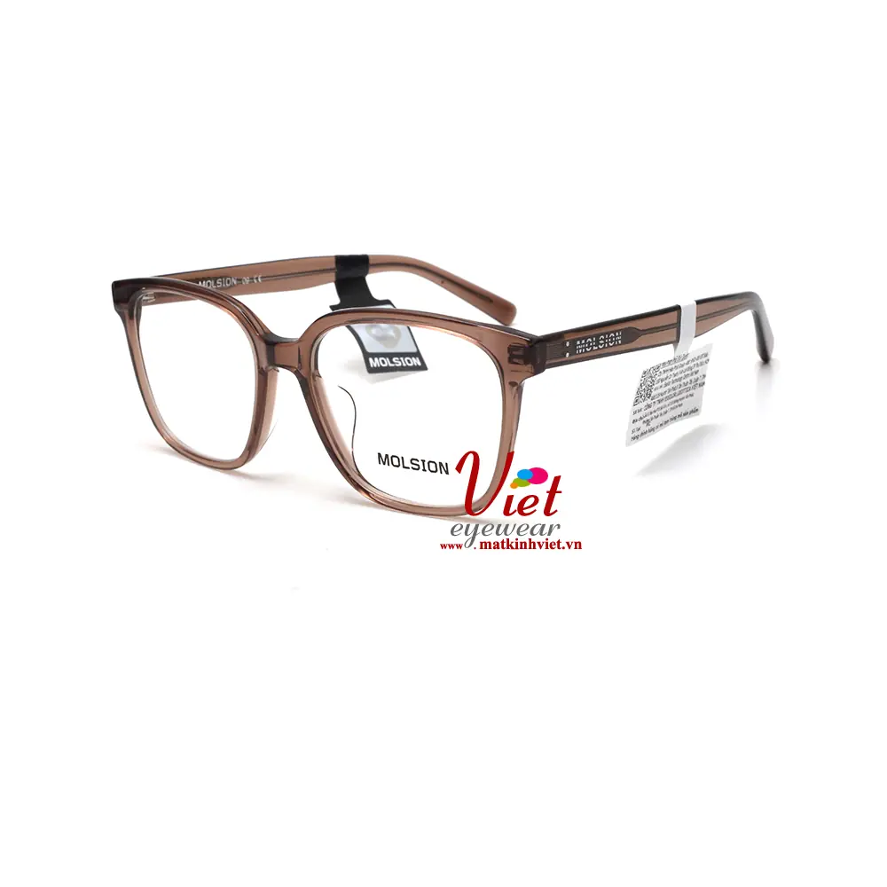 Gọng kính MOLSION MJ3098 B21