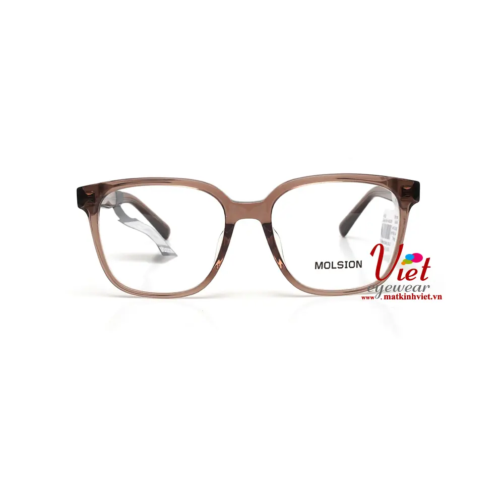 Gọng kính MOLSION MJ3098 B21