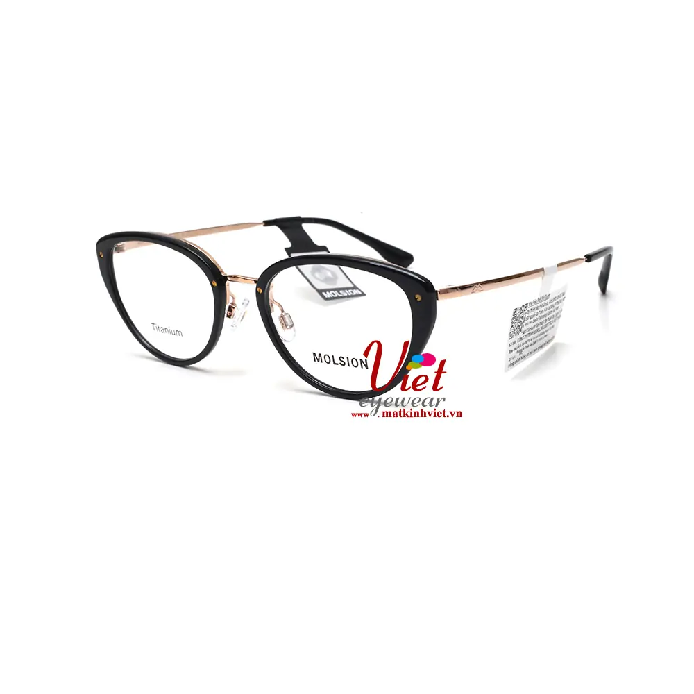 Gọng kính MOLSION MA6200 B10