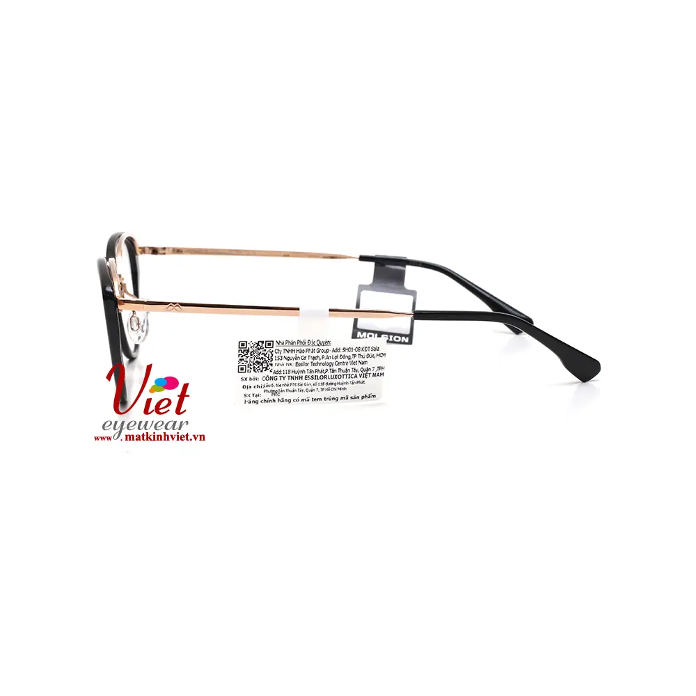 Gọng kính MOLSION MA6200 B10