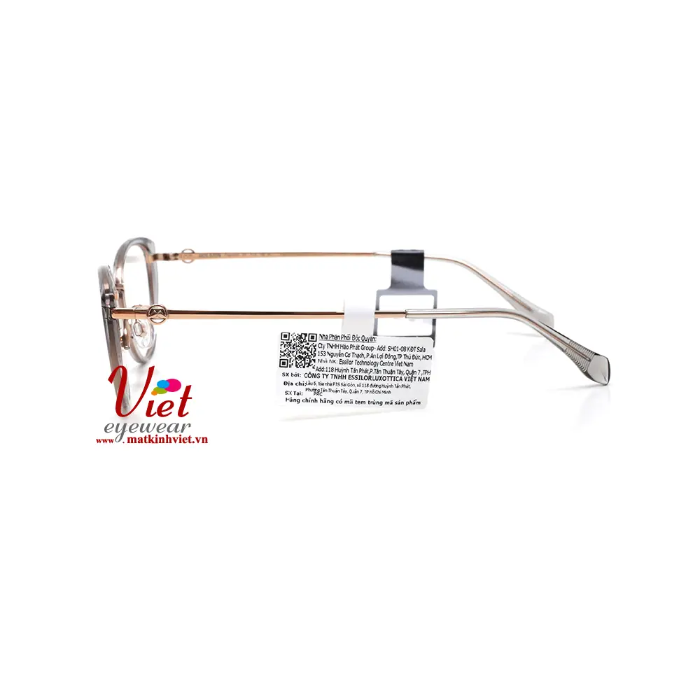 Gọng kính MOLSION MA6029 B13