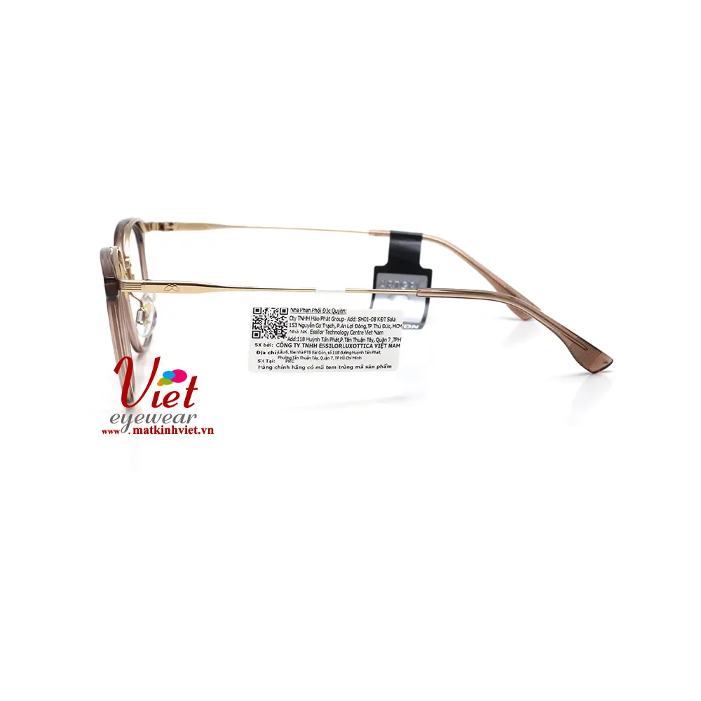 Gọng kính MOLSION MA6010 B21