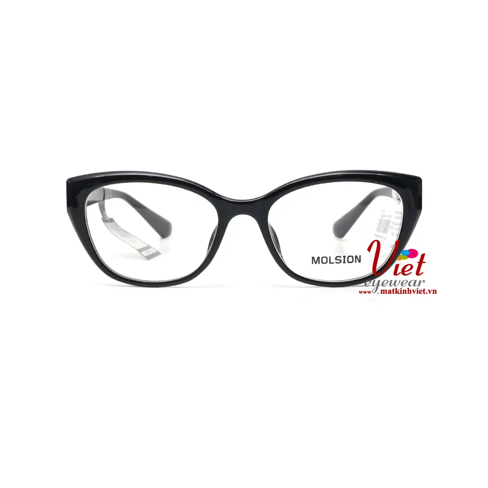 Gọng kính MOLSION MJ5150 B10