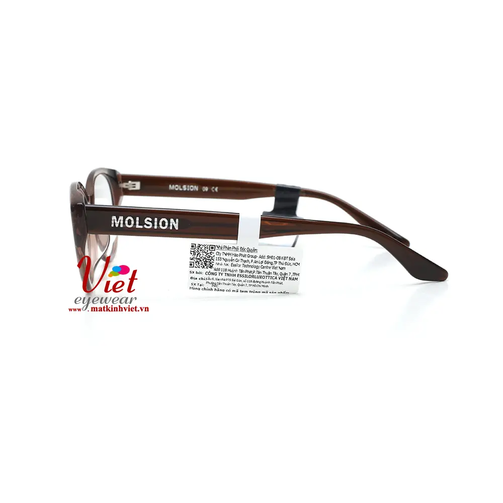 Gọng kính MOLSION MJ3110 B21