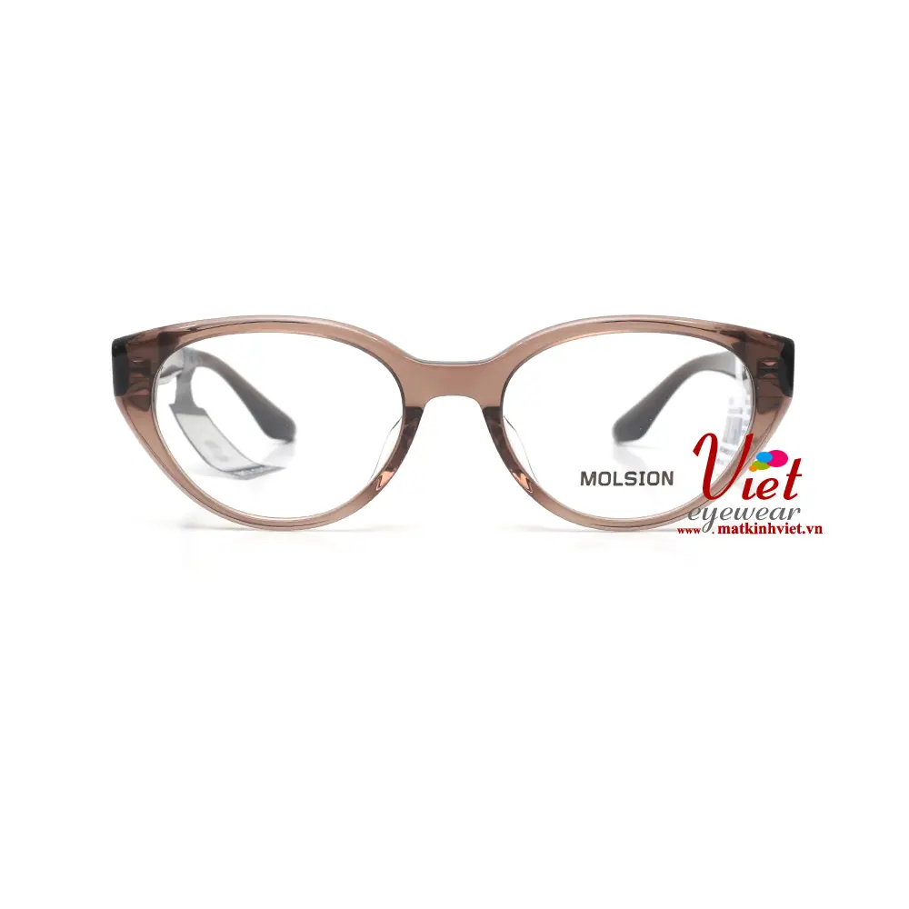 Gọng kính MOLSION MJ3110 B21