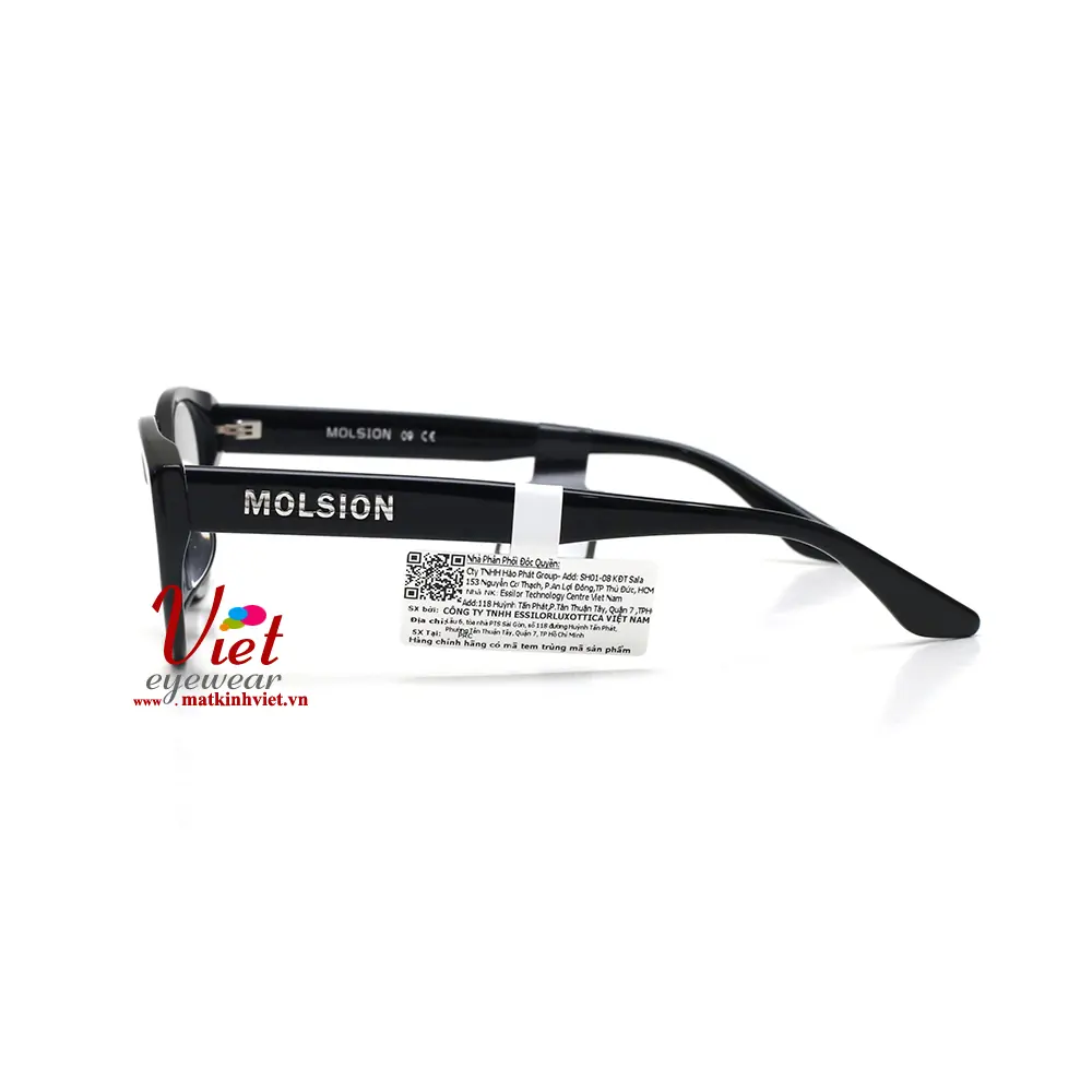 Gọng kính MOLSION MJ3110 B10