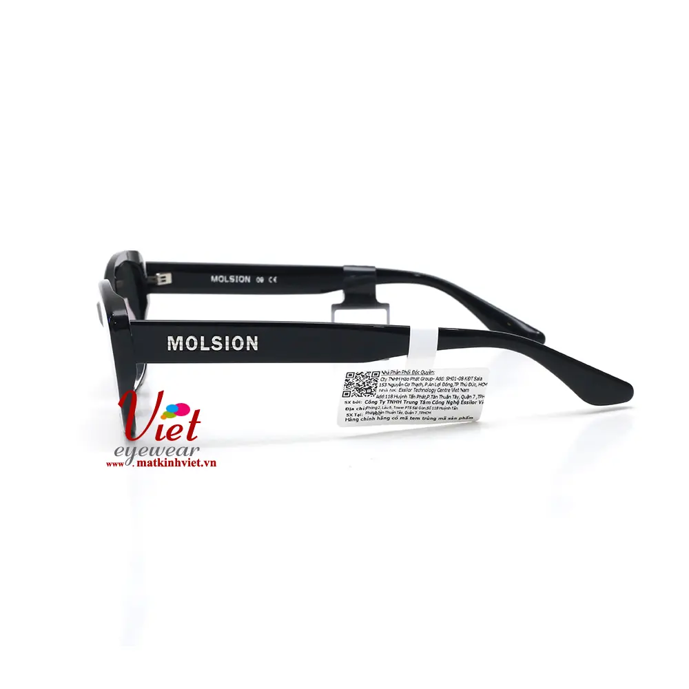 Kính mát MOLSION MS3083 C10