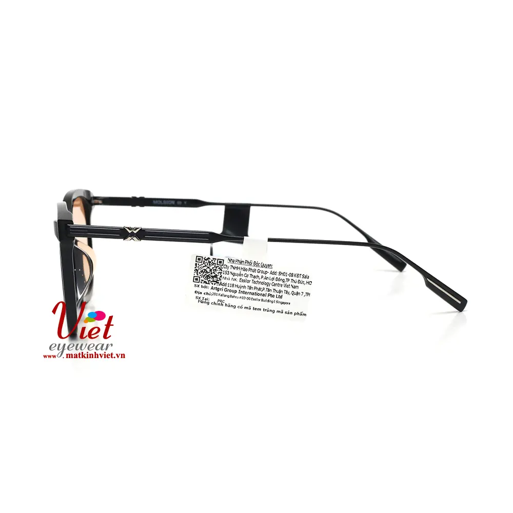 Kính mát MOLSION MS3058 A06