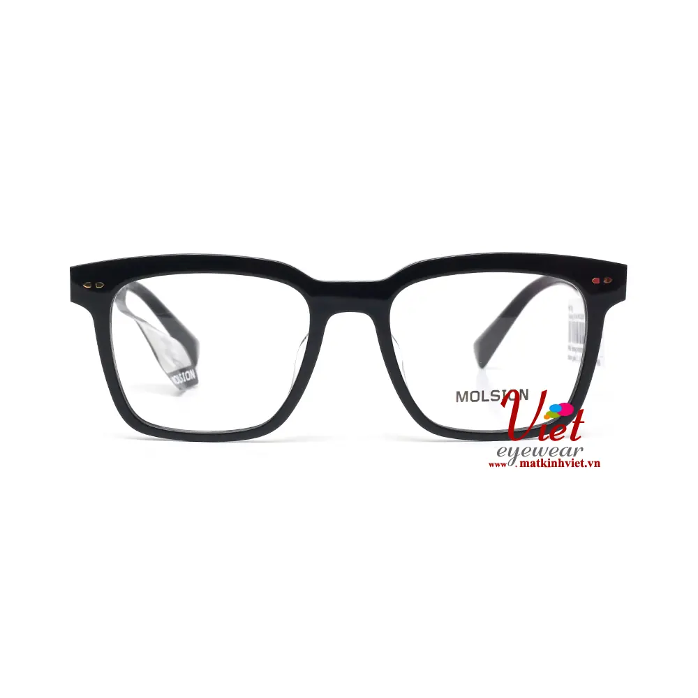 Gọng kính MOLSION MJ3039 B10