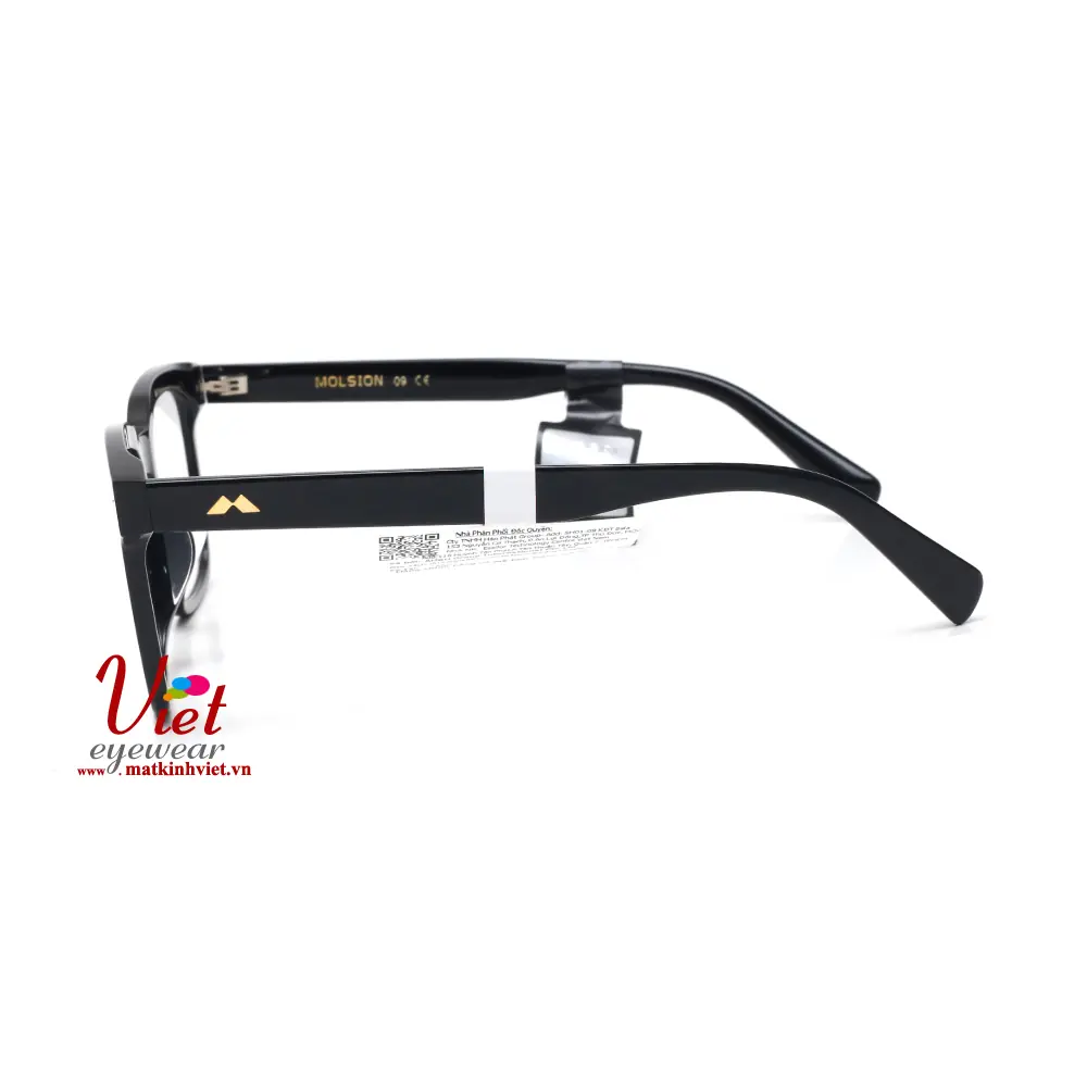 Gọng kính MOLSION MJ3039 B10