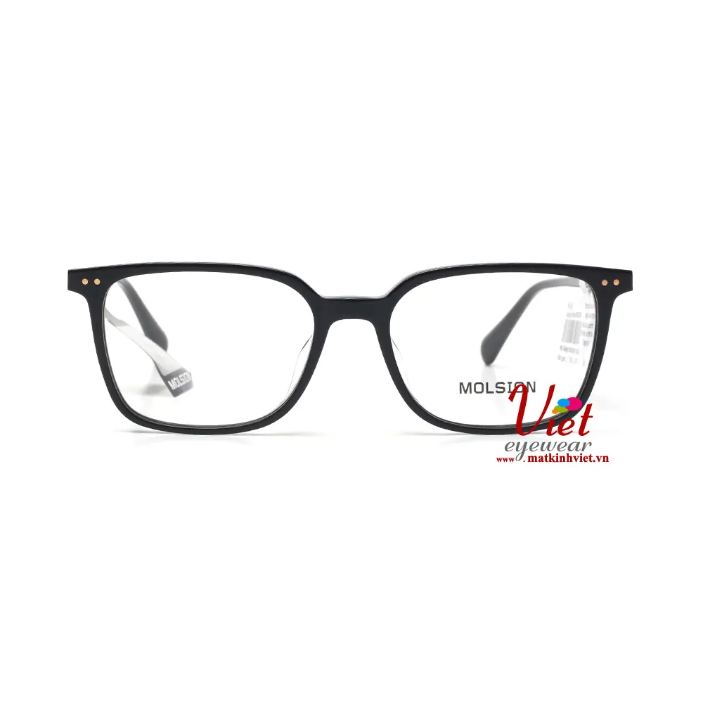 Gọng kính MOLSION MJ3029 B10