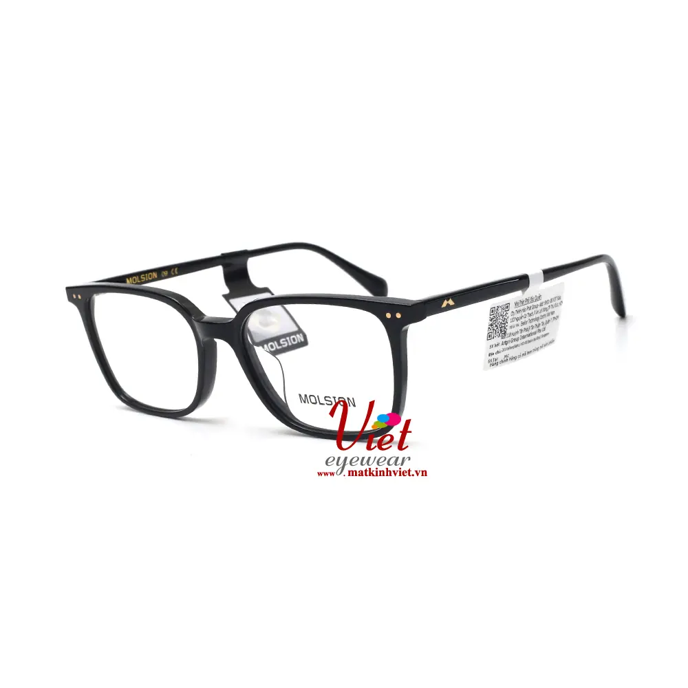 Gọng kính MOLSION MJ3029 B10