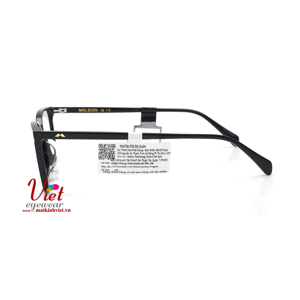 Gọng kính MOLSION MJ3029 B10