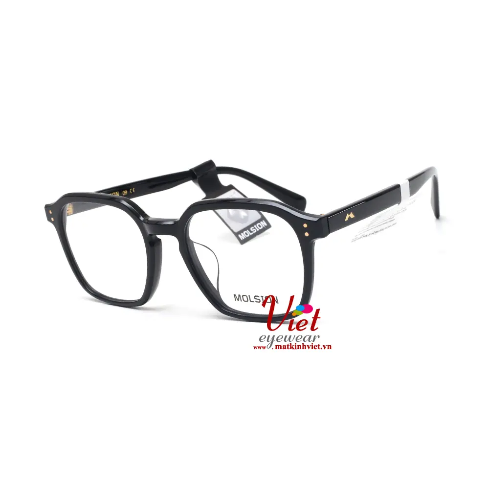 Gọng kính MOLSION MJ3023 B10